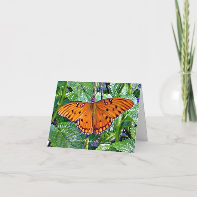 Orange Schmetterling Feiertagskarte (Vorderseite)