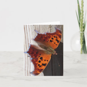 Orange Schmetterlings-Anmerkungskarte Karte