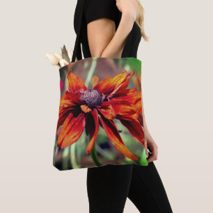 Orange Schwarze Rudbeckie Nahaufnahme