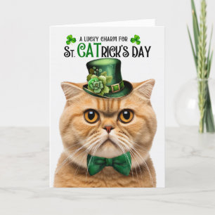 Orange Scottish Fold Lucky Charm St CATrick's Day Feiertagskarte