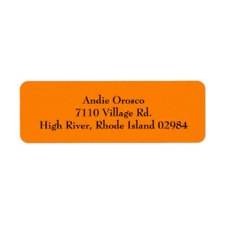 Orange Simple Plain Return Address Labels