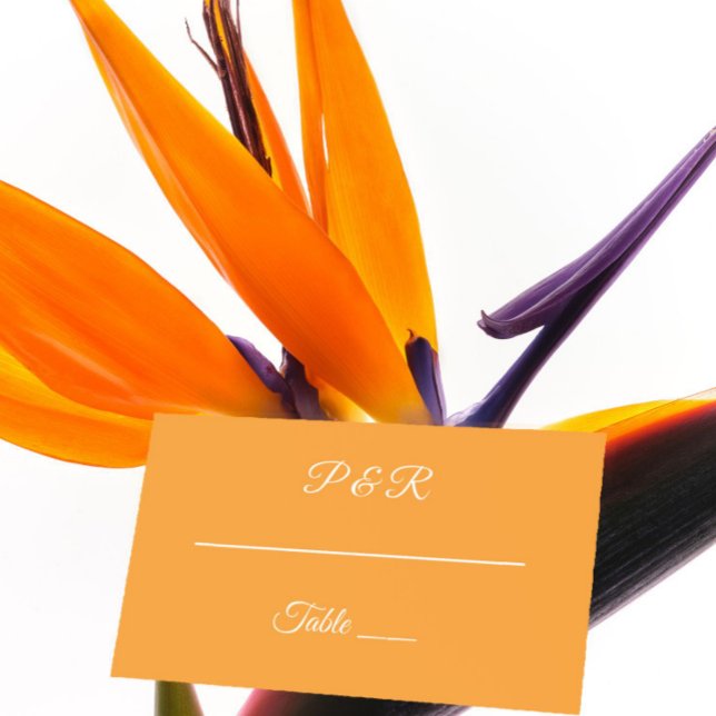 Orange Simple Stylized Script Wedding Platzkarte (In Situ Wedding)