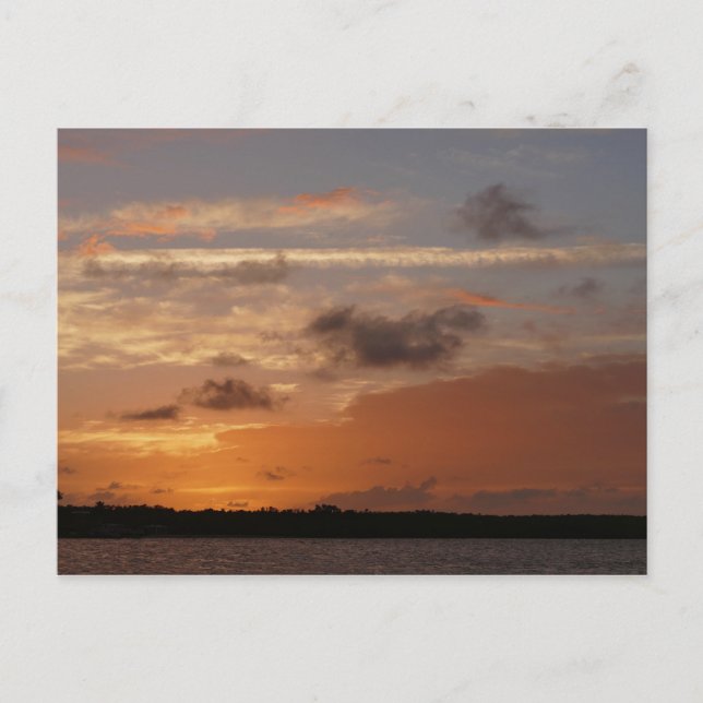 Orange Sky After Sunset in Florida Postkarte (Vorderseite)