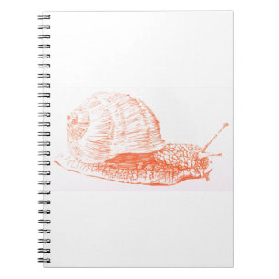 Orange Snail Zeichnend Notizblock