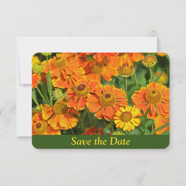 Orange Sneezewort Blumengarten Überraschung Geburt Save The Date (Vorderseite)