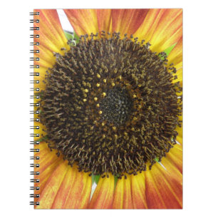 Orange-Sonnenblumen-Notebook Notizblock