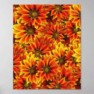 Orange Sonnenblumen Poster