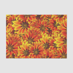 Orange Sonnenblumen Seidenpapier