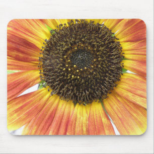 Orange Sonnenblumenmousepad Mousepad