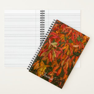 Orange Sourwood Autumn Leaves Botanical Notizbuch