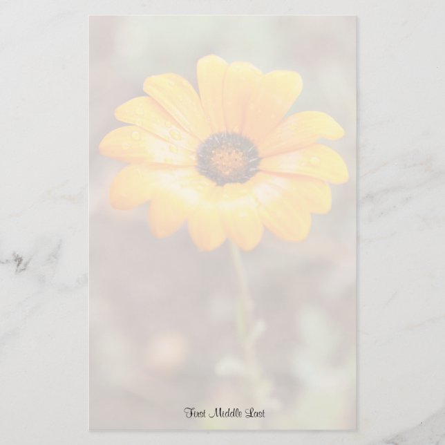 Orange Spring Flash African Daisy Foto Template Briefpapier (Vorderseite)