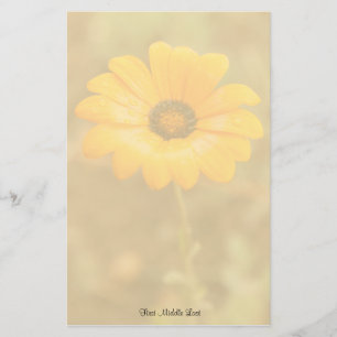 Orange Spring Flash African Daisy Foto Template Briefpapier