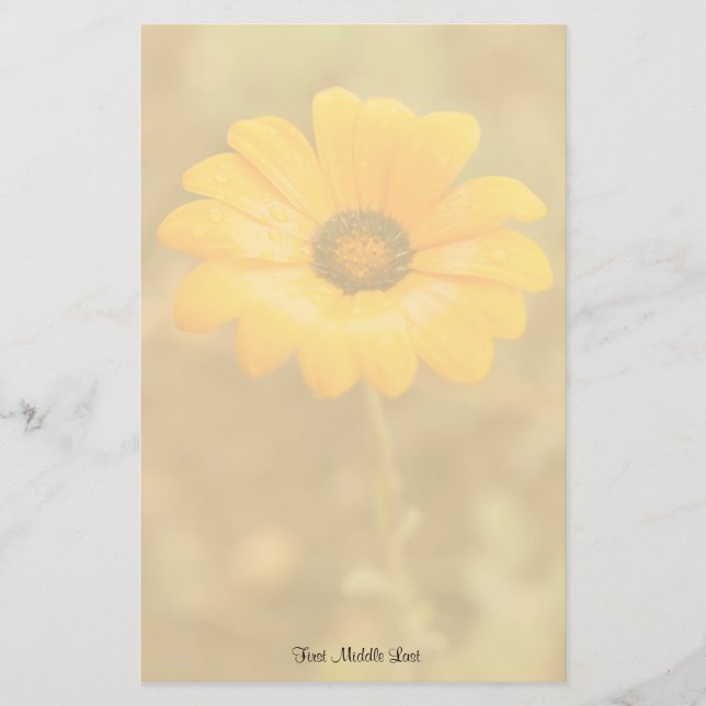 Orange Spring Flash African Daisy Foto Template Briefpapier (Vorderseite)