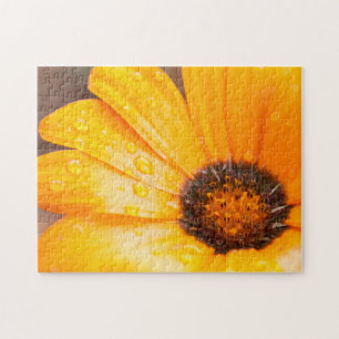 Orange Spring Flash African Daisy Nah Up Foto Puzzle