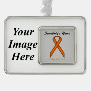 Orange Standard Rbn Tmpl (H-I) von Kenneth Yoncich Rahmen-Ornament Silber