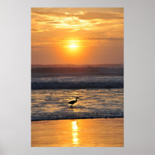 Orange Strand-Sonnenaufgang-Vogel, der Poster