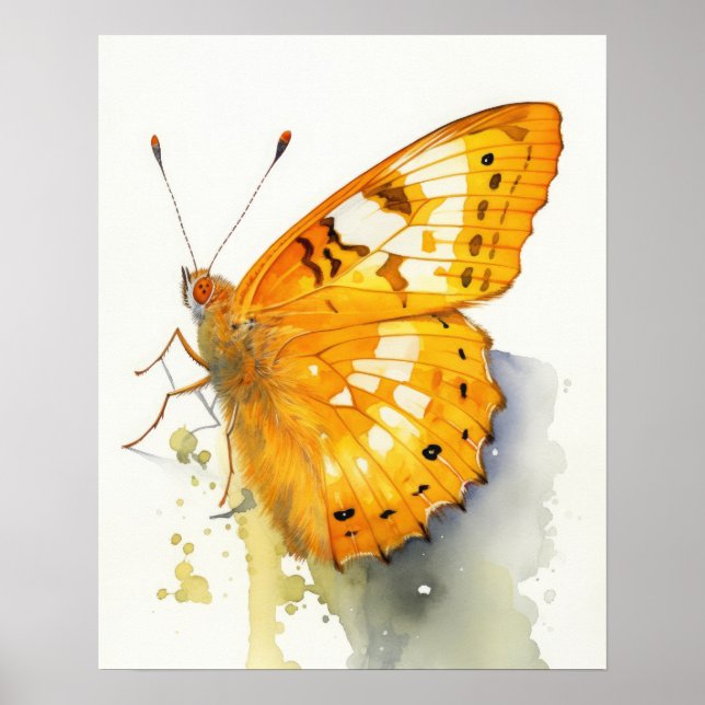 Orange Sulfur Butterfly Art Print Poster (Vorne)