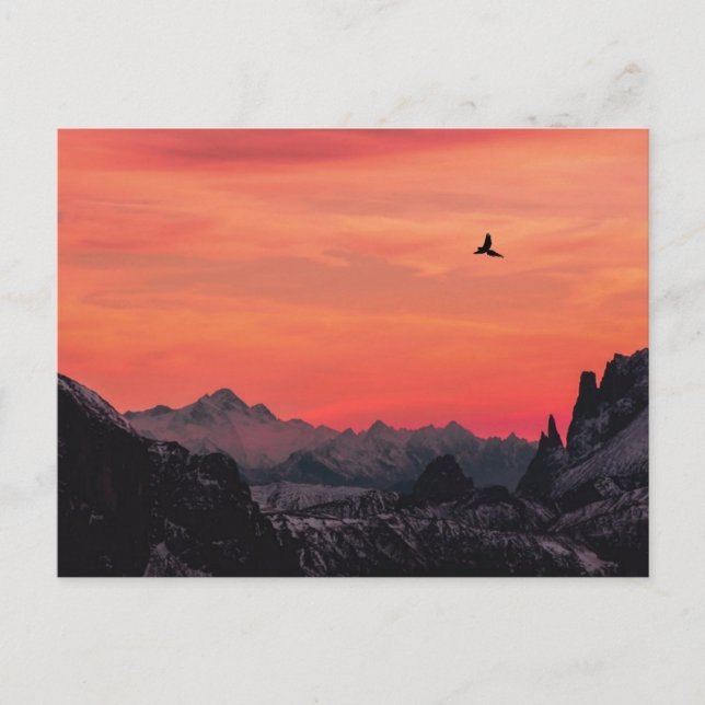 Orange Sunset Bird in Sky Postkarte (Vorderseite)