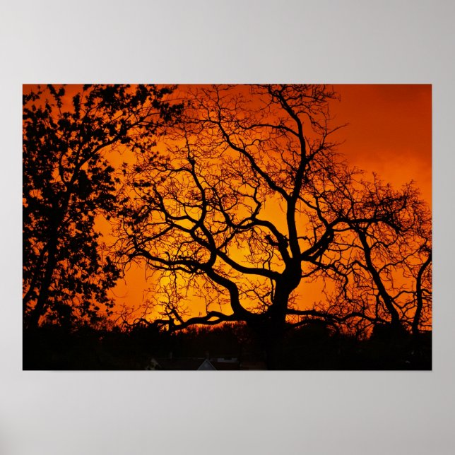 Orange Sunset Poster (Vorne)