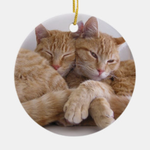 Orange Tabby-Brüder Keramik Ornament