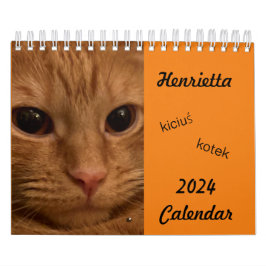 Orange Tabby Cat 2024 Kalender mit POLISH-Wörtern