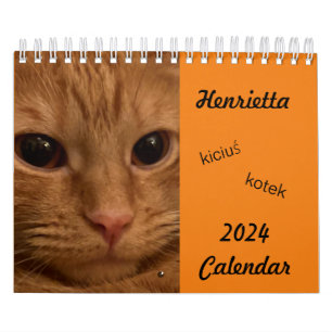 Orange Tabby Cat 2024 Kalender mit POLISH-Wörtern