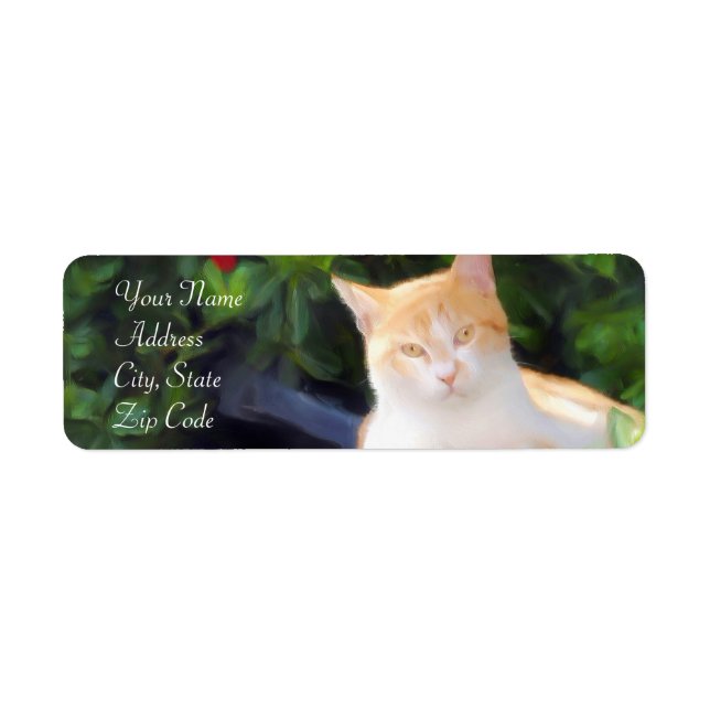 Orange Tabby Cat Address Labels (Vorne)