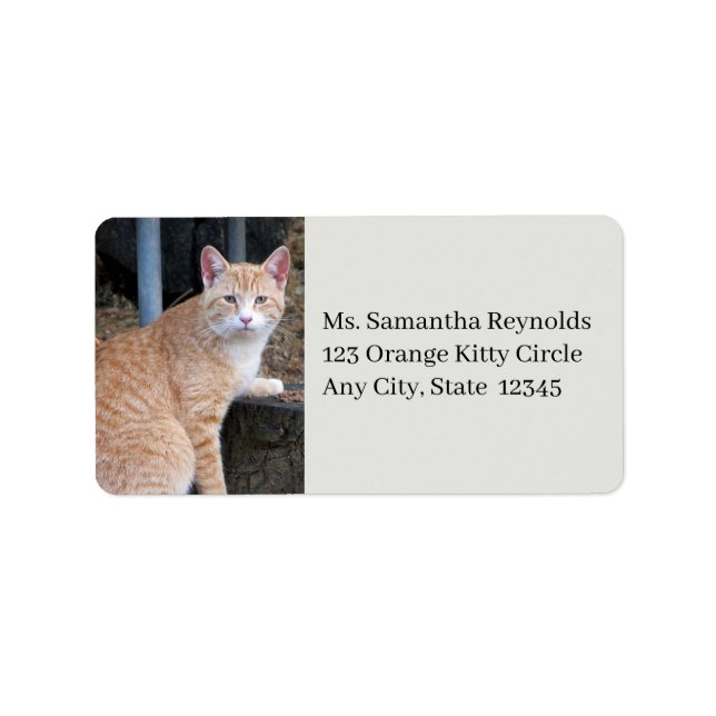 Orange Tabby Cat Address Labels Adressaufkleber (Vorne)