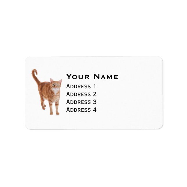 Orange Tabby Cat Adressaufkleber (Vorne)