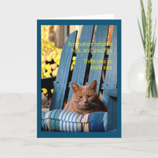 Orange Tabby Cat auf blauem Vorsitz Karte