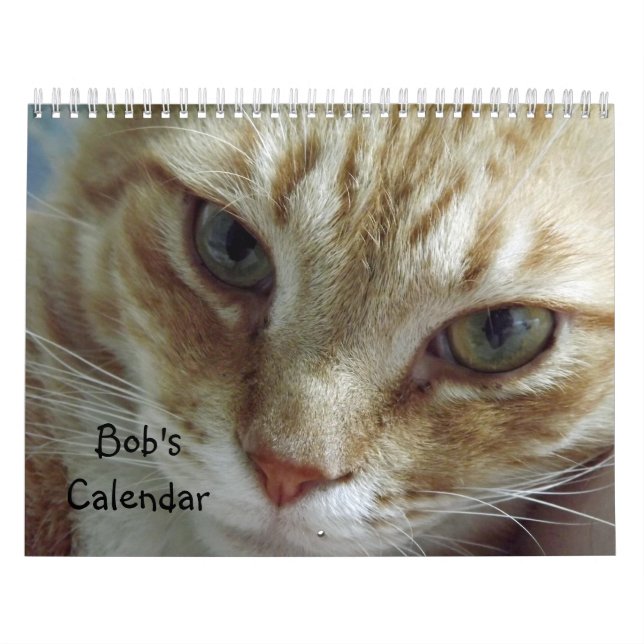 Orange Tabby Cat Calendar Mit Bob Kalender (Titelbild)