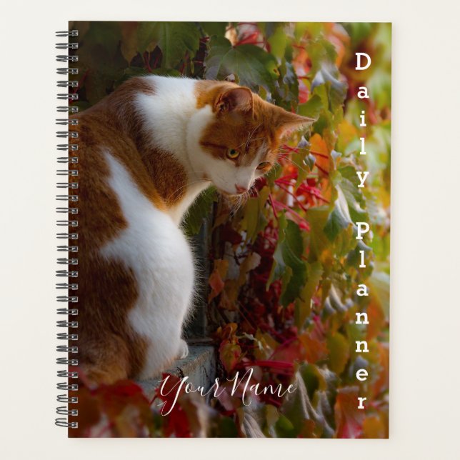 Orange Tabby Cat - Daily Planner - HAMbWG Planer (Vorderseite)