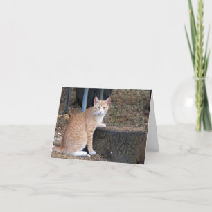 Orange Tabby Cat Danke Note Card