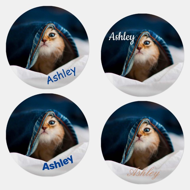 Orange Tabby Cat Etiketten (Gruppe)