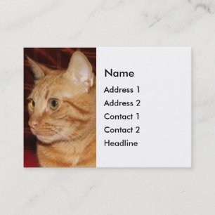 Orange Tabby Cat Face Profil Visitenkarte