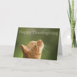 Orange Tabby Cat: Glückliche Thanksgiving-Karte Feiertagskarte