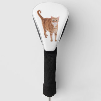 Orange Tabby Cat Golf Headcover