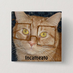 Orange Tabby Cat/Inkognito Spaß Button