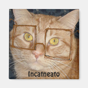 Orange Tabby Cat/Inkognito Spaß Magnet