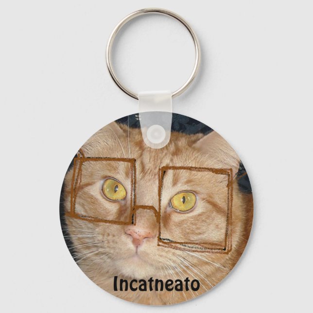 Orange Tabby Cat/Inkognito Spaß Schlüsselanhänger (Vorderseite)