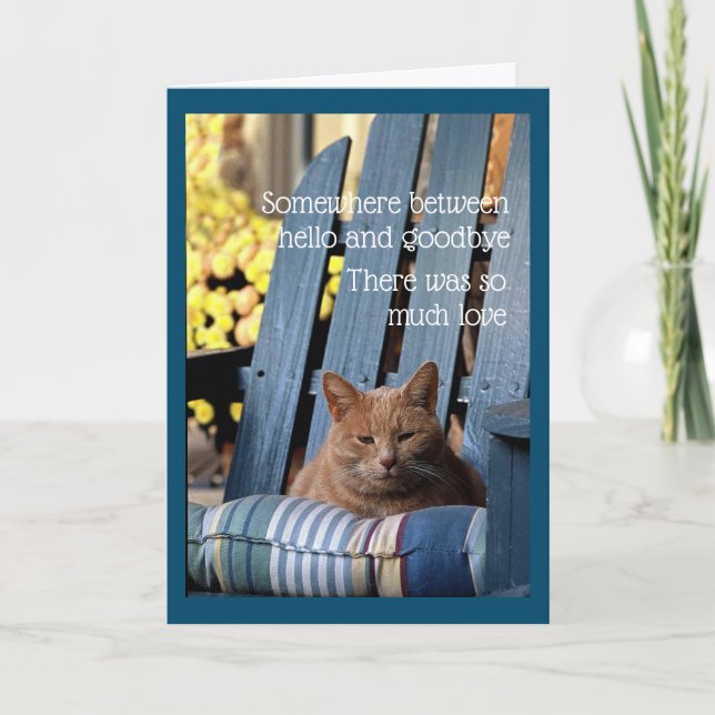 Orange Tabby Cat on Blue Chair  Card Karte (Vorderseite)