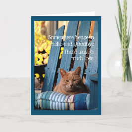 Orange Tabby Cat on Blue Chair  Card Karte