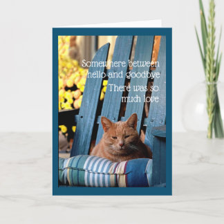 Orange Tabby Cat on Blue Chair Card Karte