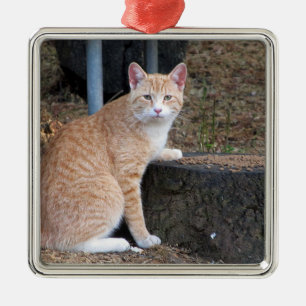 Orange Tabby Cat Ornament