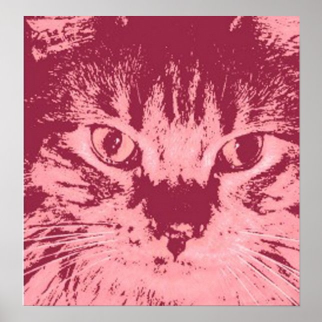 Orange Tabby Cat Poster (Vorne)