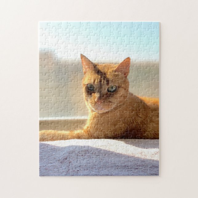 Orange Tabby Cat Puzzle (Vertikal)