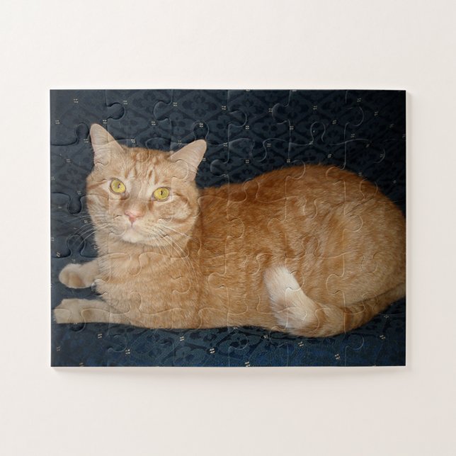 Orange Tabby Cat Puzzle (Horizontal)