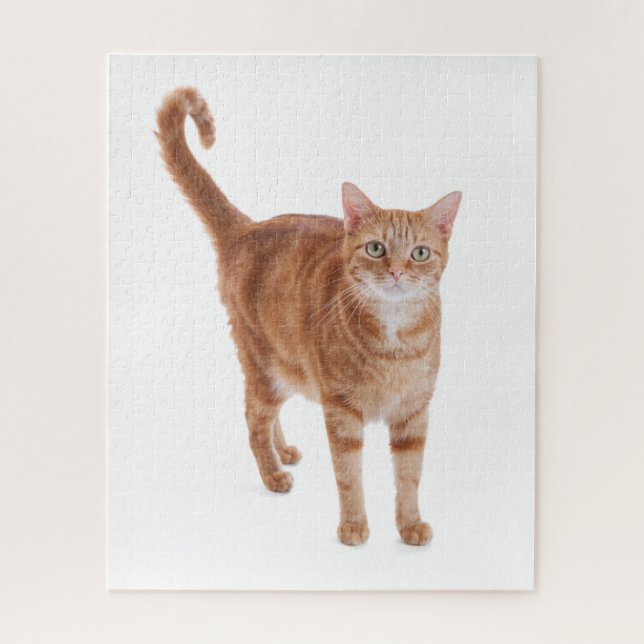Orange Tabby Cat Puzzle (Vertikal)