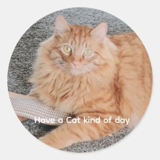 Orange Tabby cat  Runder Aufkleber