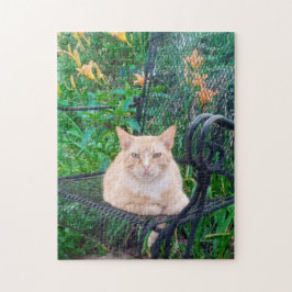 Orange Tabby Cat Sitzen im Foto Puzzle